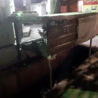 قفس پرنده|لوازم جانبی حیوانات|ایلام, |دیوار