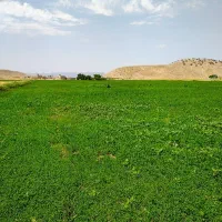 زمین کشاورزی