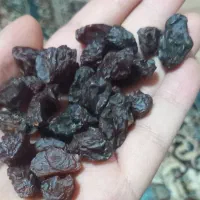 مویز با هسته