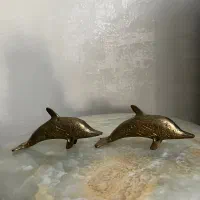 دلفین تو‌پر برنجی