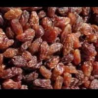 کشمش کاشمر(ترشیز) درصد بالا