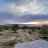 باغ سند دار ۲۸۰۰ متر سیاخ فاز۲ مجموعه پردیس|فروش زمین و ملک کلنگی|شیراز, شهرک والفجر|دیوار