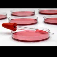 خرید وفروش جیوه بدون واکنش