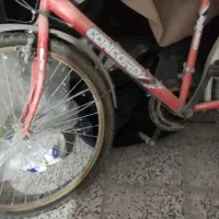 دوچرخه دنده ای|دوچرخه، اسکیت، اسکوتر|نجفآباد, فردوسی شمالی|دیوار