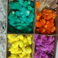 جوجه رنگی رسید ۴تا بخر ۵۰