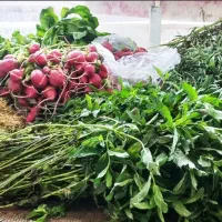 استخدام خانم یا اقا باز نشسته کار با ترازو
