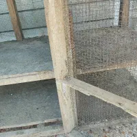 قفس پرنده، بزرگ دو طبقه|لوازم جانبی حیوانات|ایذه, |دیوار