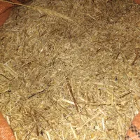 فروش گاه  کاملینا