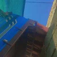 فروشی|خودرو سواری و وانت|ایرانشهر, |دیوار