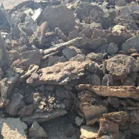 کود حیوانی گاوی گوسفندی مرغ|خدمات باغبانی و درختکاری|مشهد مرغاب, |دیوار