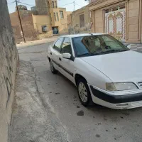 زانتیا تمیز
