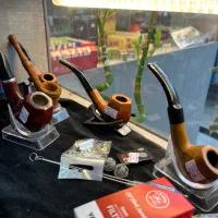 سالت و جویس، نوسو و ترا|زیورآلات و اکسسوری|رشت, ترمینال|دیوار