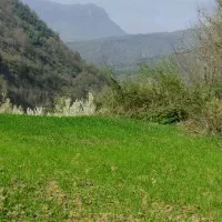 فروش زمین باغی در ریگ چشمه|فروش زمین و ملک کلنگی|مینودشت, |دیوار