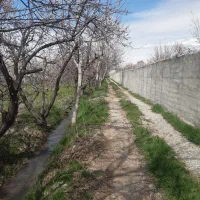 باغچه|فروش زمین و ملک کلنگی|رباطکریم, انجم آباد|دیوار