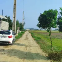 زمین کشاورزی|فروش زمین و ملک کلنگی|امیرکلا, |دیوار