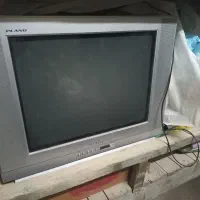تی وی