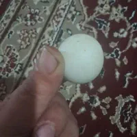 سنگ آسیاب الماس کهنه قدیمی|جواهرات|قم, نیروگاه|دیوار