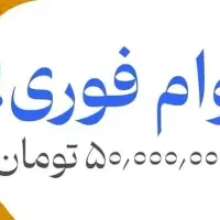 وام ضربتی ضروری هجده ماهه درخواست کن الان توحسابته|خدمات مالی، حسابداری، بیمه|دورود, |دیوار