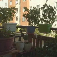 سیناگروه/۱۱۰متری/نزدیک به مرکز خرید|اجارهٔ آپارتمان|اندیشه, اندیشه فاز ۴|دیوار