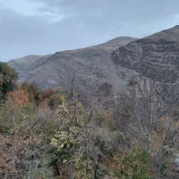 کنگ کهن سوییت و آپارتمان و تخت اجاره|اجارهٔ کوتاهمدت آپارتمان و سوئیت|طرقبه, |دیوار