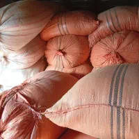 کاه درجه یک نرم سفید