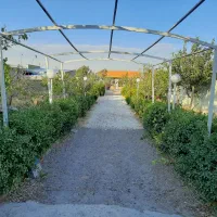 ۱۰۰۰م شهرک صنعتی توس انبار کارگاه سوله برق سه فاز|فروش دفتر صنعتی، کشاورزی، تجاری|مشهد, شهرک صنعتی توس|دیوار