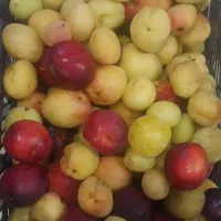 عطاری خانگی
