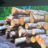 استخدام نیروی کار ساده