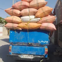 خرید کاه گندم و جو روی زمین(خرمن)