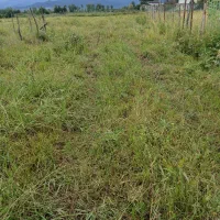 مبل|مبلمان خانگی و میز عسلی|اسالم, |دیوار