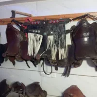 تجهیزات اسب|اسب و تجهیزات اسب‌سواری|قدس, شهر‌قدس|دیوار