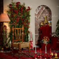 آتلیه محضر عروس بارداری کودک هامون