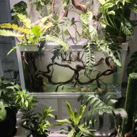 اکواریوم شرکتی