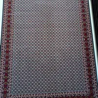 فرش بیکران برای همه سلیقه ها/تراکم۳۶۰۰واقعی|فرش|شیراز, لاله|دیوار