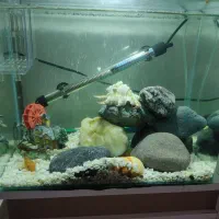 آکواریوم با تمامی وسایل و ماهی