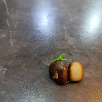 مهره برد قدیمی|کلکسیون اشیاء عتیقه|دهدشت, |دیوار