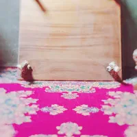 میز سلطنتی|مبلمان خانگی و میز عسلی|خاش, |دیوار