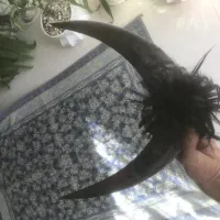 شاخ دوبور بز|کلکسیون و سرگرمی|خمینی‌شهر, |دیوار