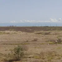 فروش زمین کشاورزی|فروش زمین و ملک کلنگی|آق قلا, |دیوار