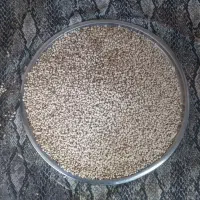 ماش