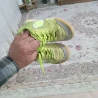 کفش درحدنوسالن