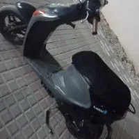بوشهر عسلویه
