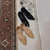 کفش در حد نو|کیف، کفش، کمربند|آبدانان, |دیوار