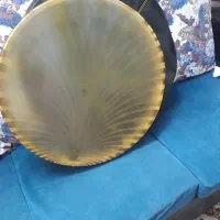 دف سالم با کاور