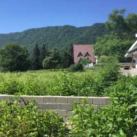 فروش زمین کاربری مسکونی با ویوی ابدی جنگل