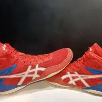 انواع کتونی کشتی