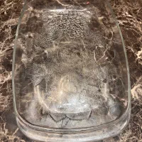 ۳ عدد دیس شیشه ای طرح میوه|ظروف سرو و پذیرایی|تهران, سعادتآباد|دیوار