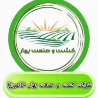 استخدام حسابدار