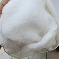 هودی داخل خز (تک و عمده)|لباس|شیراز, جانبازان|دیوار