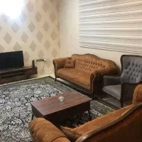 خانم مجرد برای انجام کارهای خانه